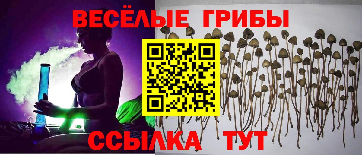 Галлюциногенные грибы мухоморы Сальск