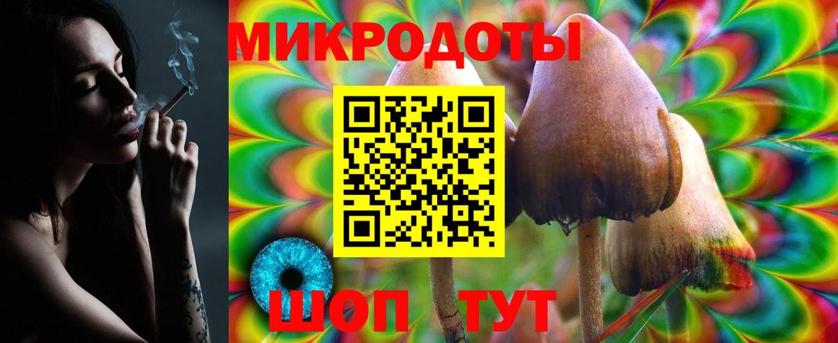купить  сайты  Галлюциногенные грибы GOLDEN TEACHER  Вход с VPN  Сальск 